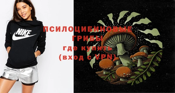 apvp Мегион