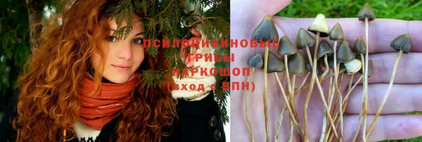 MESCALINE Медвежьегорск