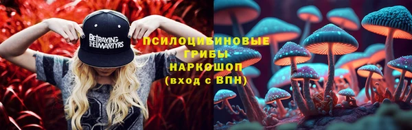apvp Мегион