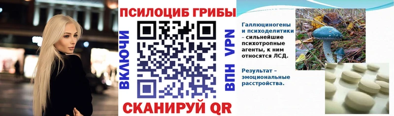 мега ссылка  Шимановск  Галлюциногенные грибы GOLDEN TEACHER 